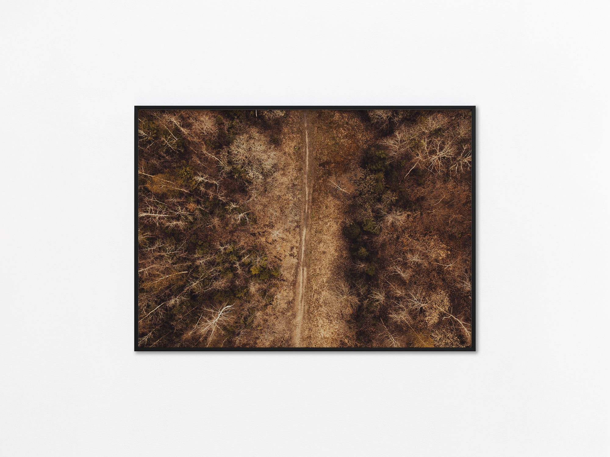 STIEN IGENNEM SKOVEN